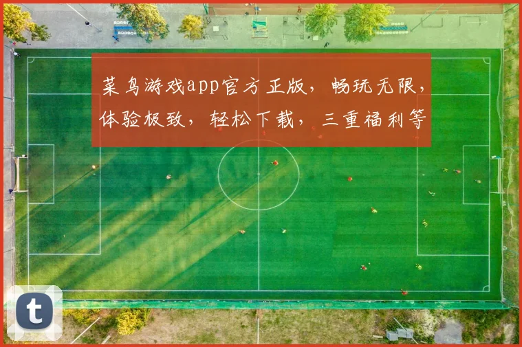 菜鸟游戏app官方正版，畅玩无限，体验极致，轻松下载，三重福利等你来