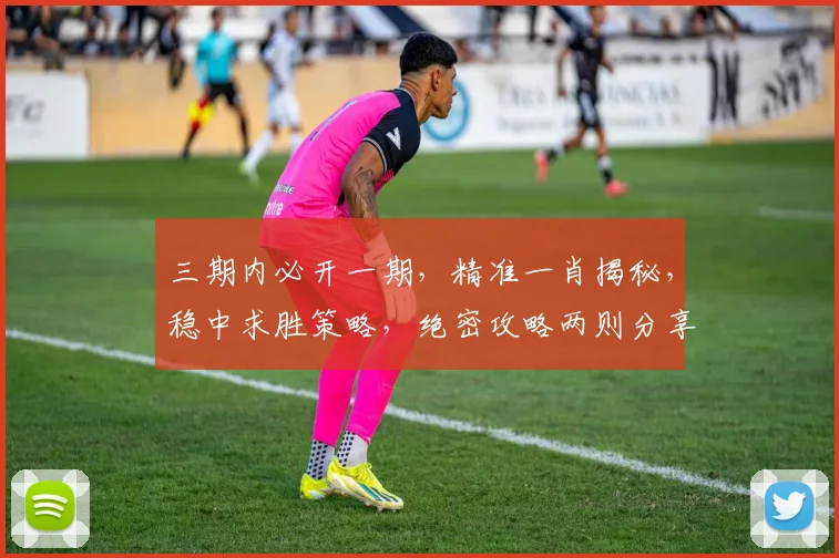 三期内必开一期，精准一肖揭秘，稳中求胜策略，绝密攻略两则分享