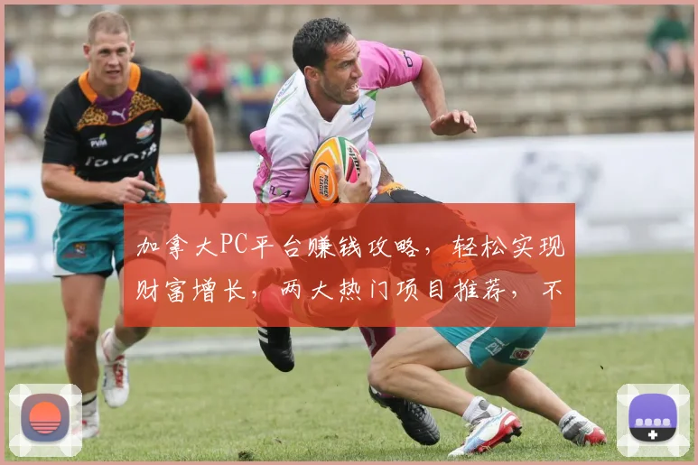 加拿大PC平台赚钱攻略，轻松实现财富增长，两大热门项目推荐，不容错过