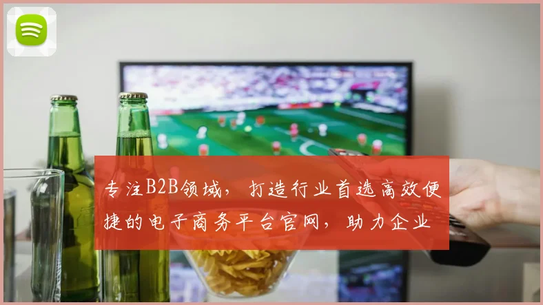 专注B2B领域，打造行业首选高效便捷的电子商务平台官网，助力企业共赢发展